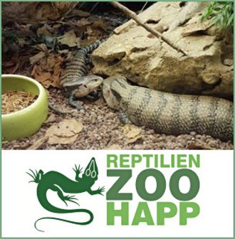 HAPP's Reptilienzoo gibt einen Einblick in die Welt der Reptilien und...