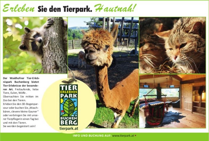 Tier-Erlebnispark Buchenberg mit 3D-Bogenparcours